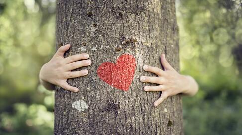Baumumarmung Baum Hand Herz