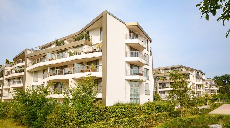 Kalte Nahwärme – Unsere Pilotprojekte im Detail