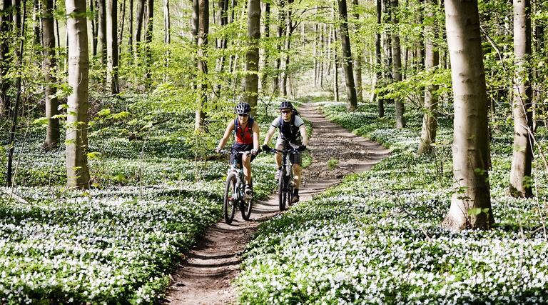 Radtour quer durch die Pfalz: Glan - Worms