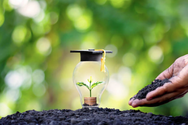 Pflanze in Glühbirne als Nachhaltigkeitssymbol