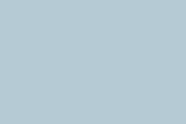 lorem-ipsum