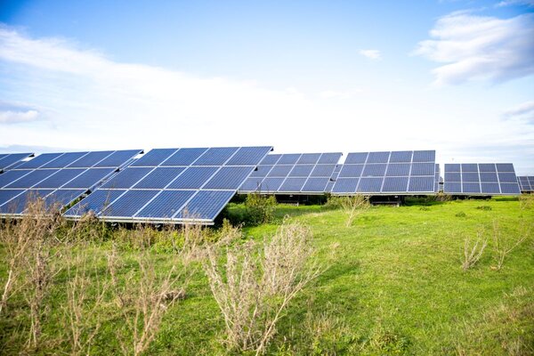 PV-Park Solarmodule | © Pfalzwerke