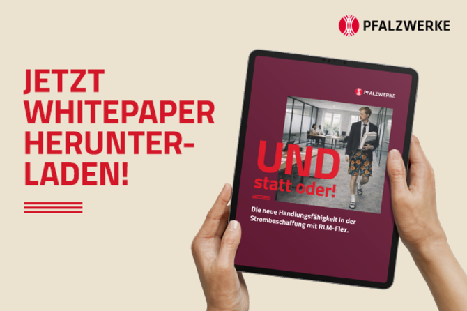 Whitepaper | © Pfalzwerke