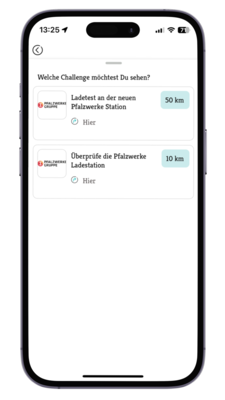 &Charge, Bonusprogramm, Pfalzwerke Bonusprogramm, E-Mobilität