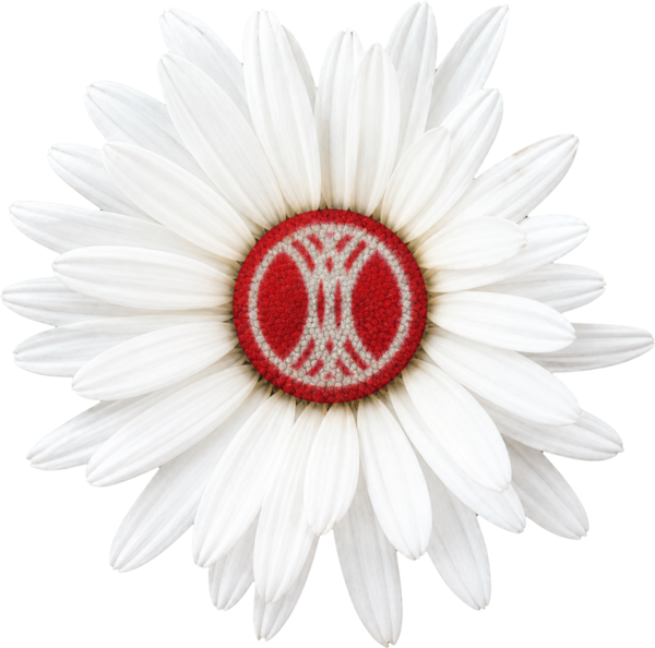 Margetite, Frühling, Energie, Ladestrom, Preiskation zum Laden