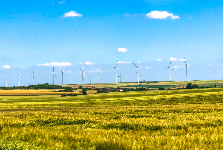 Windpark Rüssingen Windpark Rüssingen