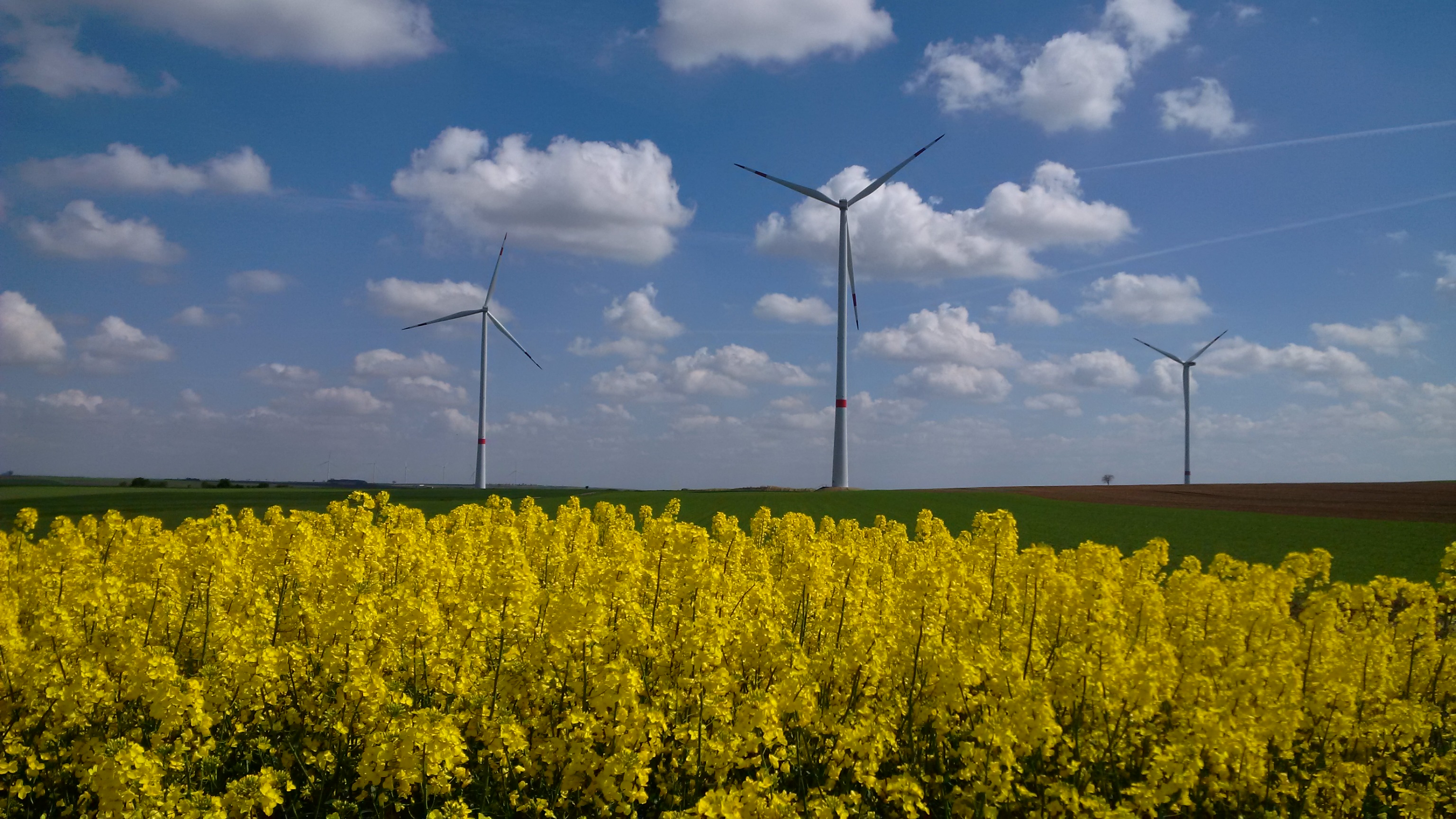 Windpark Kindenheim
