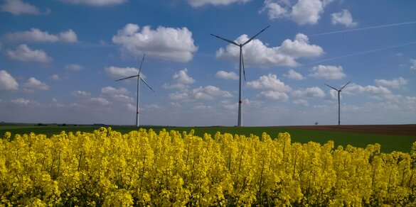 Windpark Kindenheim