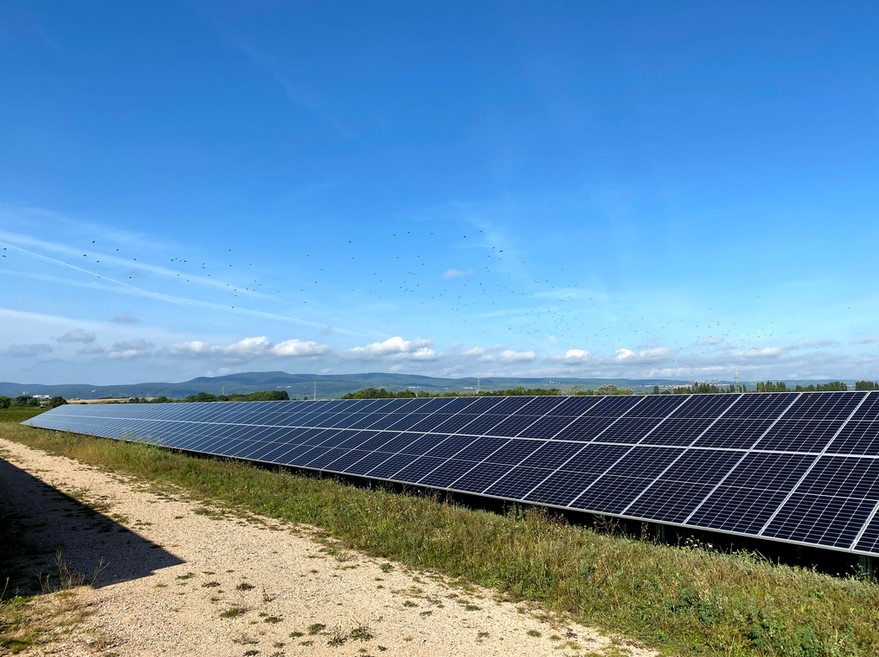 Das Bild zeigt eine Reihe der Solaranlage Ellerstadt. 
