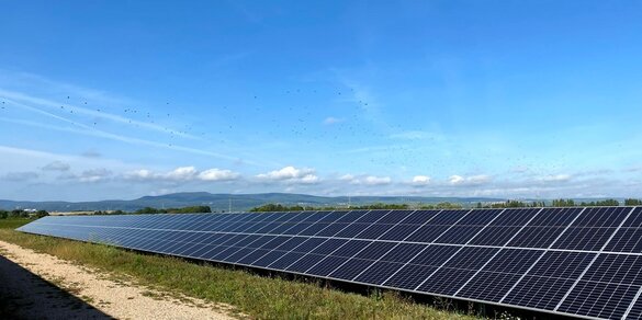 Das Bild zeigt eine Reihe der Solaranlage Ellerstadt.