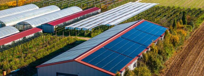 Solaranlage auf dem Dach der Firma Reeb in Dudenhofen. 