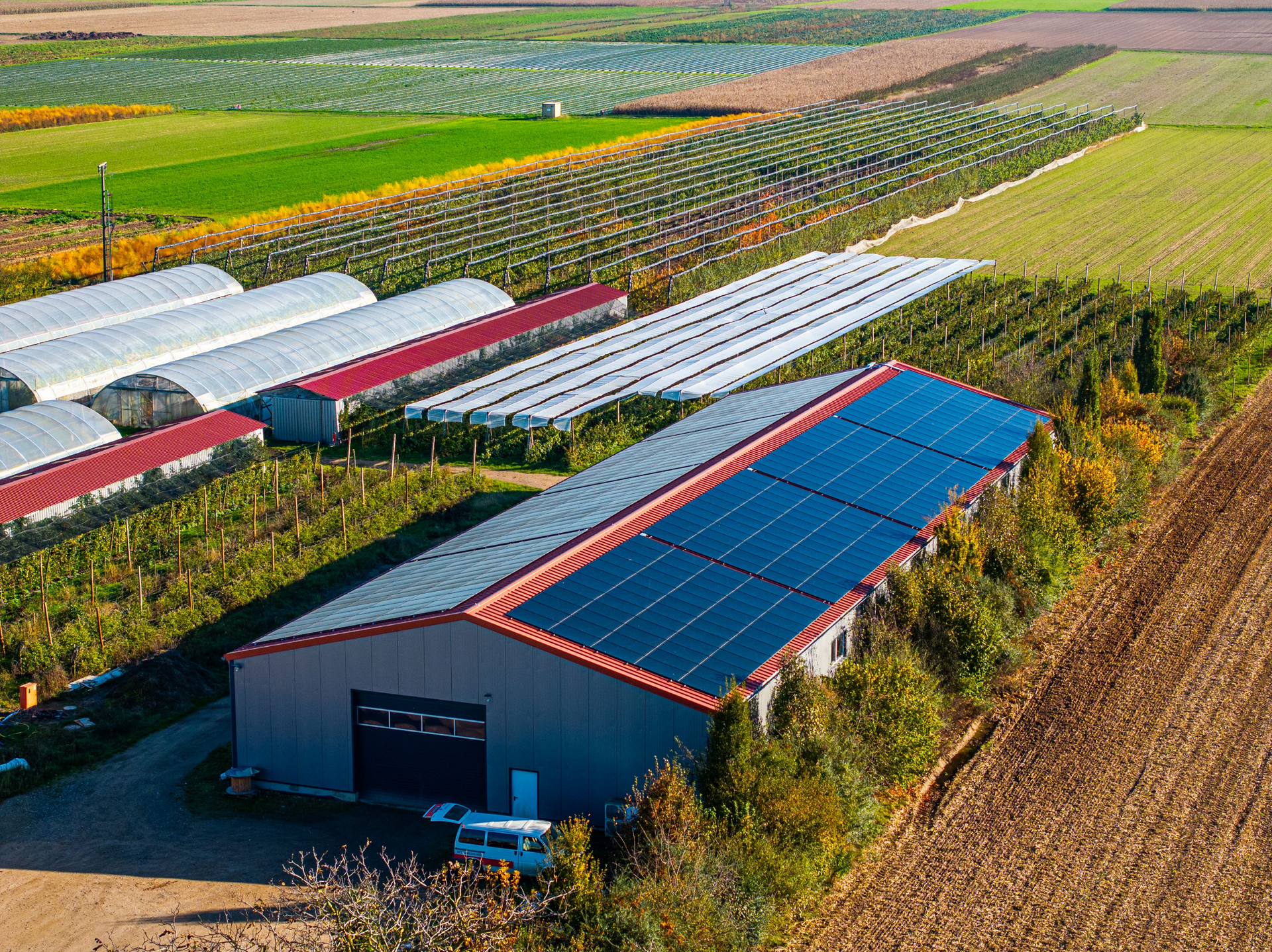 photovoltaik reeb pfalzwerke | © Pfalzwerke