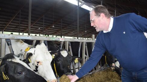 Dr. Karl Landfried beim Kühe füttern | © Pfalzwerke Dr. Karl Landfried, Kühe, Kuhstall | © Pfalzwerke