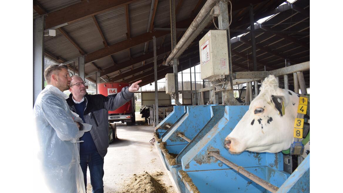 Futterzuteilungsmaschine für Kühe | © Pfalzwerke