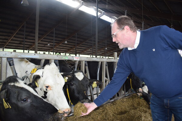 Dr. Karl Landfried beim Kühe füttern | © Pfalzwerke Dr. Karl Landfried, Kühe, Kuhstall | © Pfalzwerke