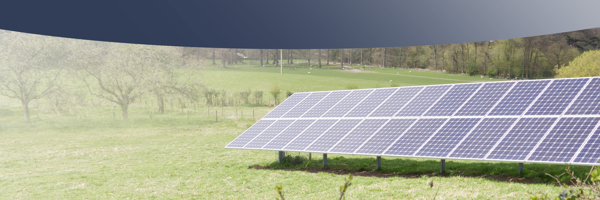 Solaranlage auf Freifläche