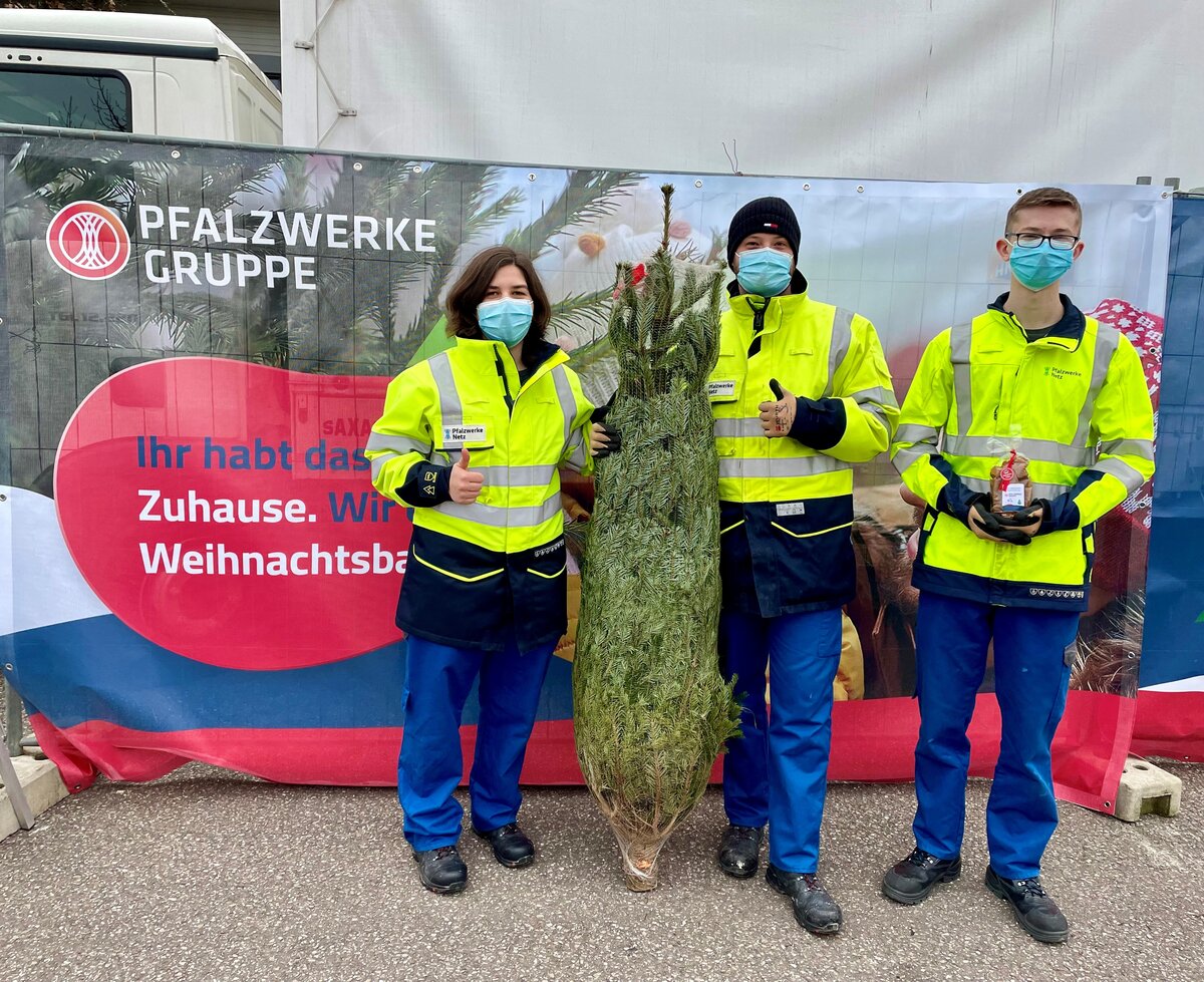 Auf dem Bild stehen drei junge Helfer mit einem verpackten Weihnachtsbaum.