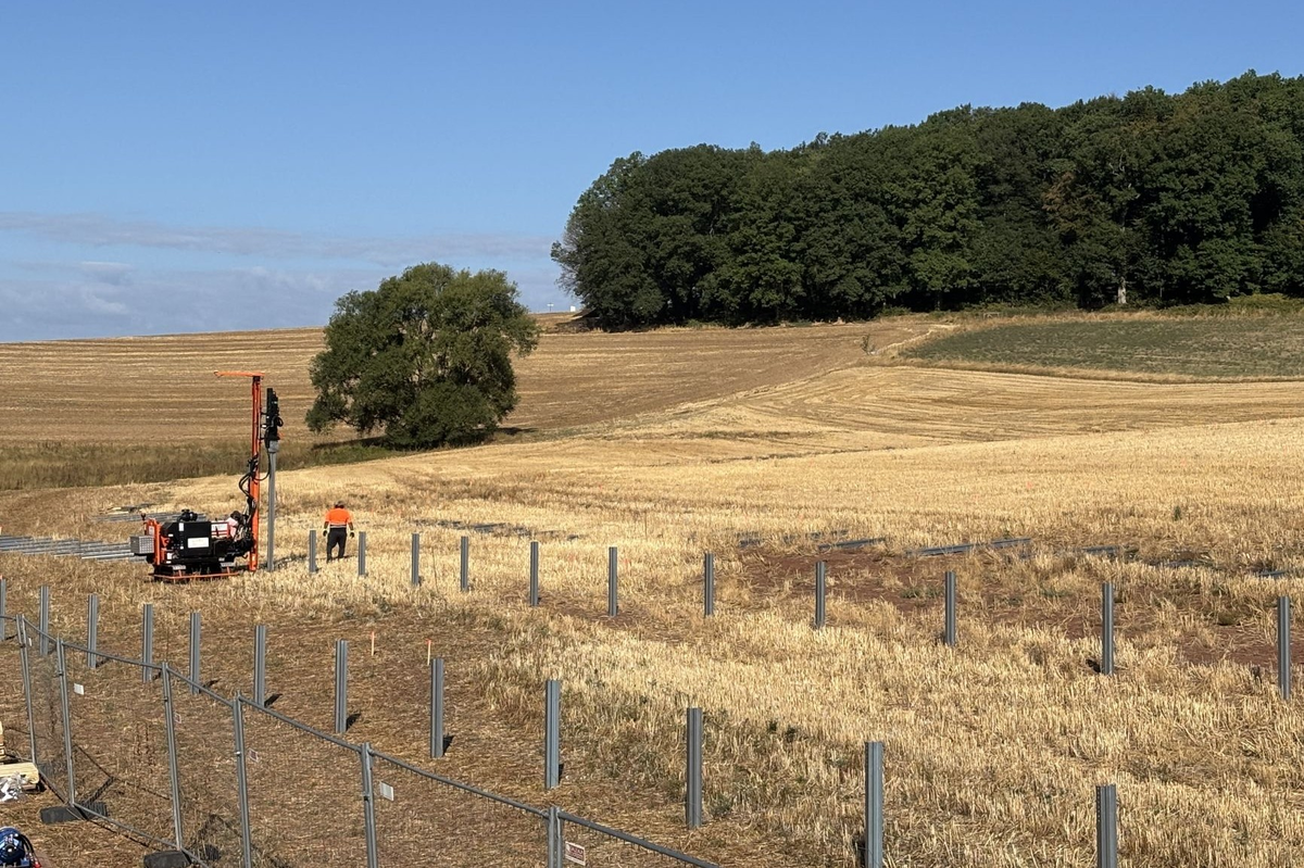 Solarpark Steinbach am Glan: Einbringen der Rammpfosten Baustart. Bild: Pfalzwerke